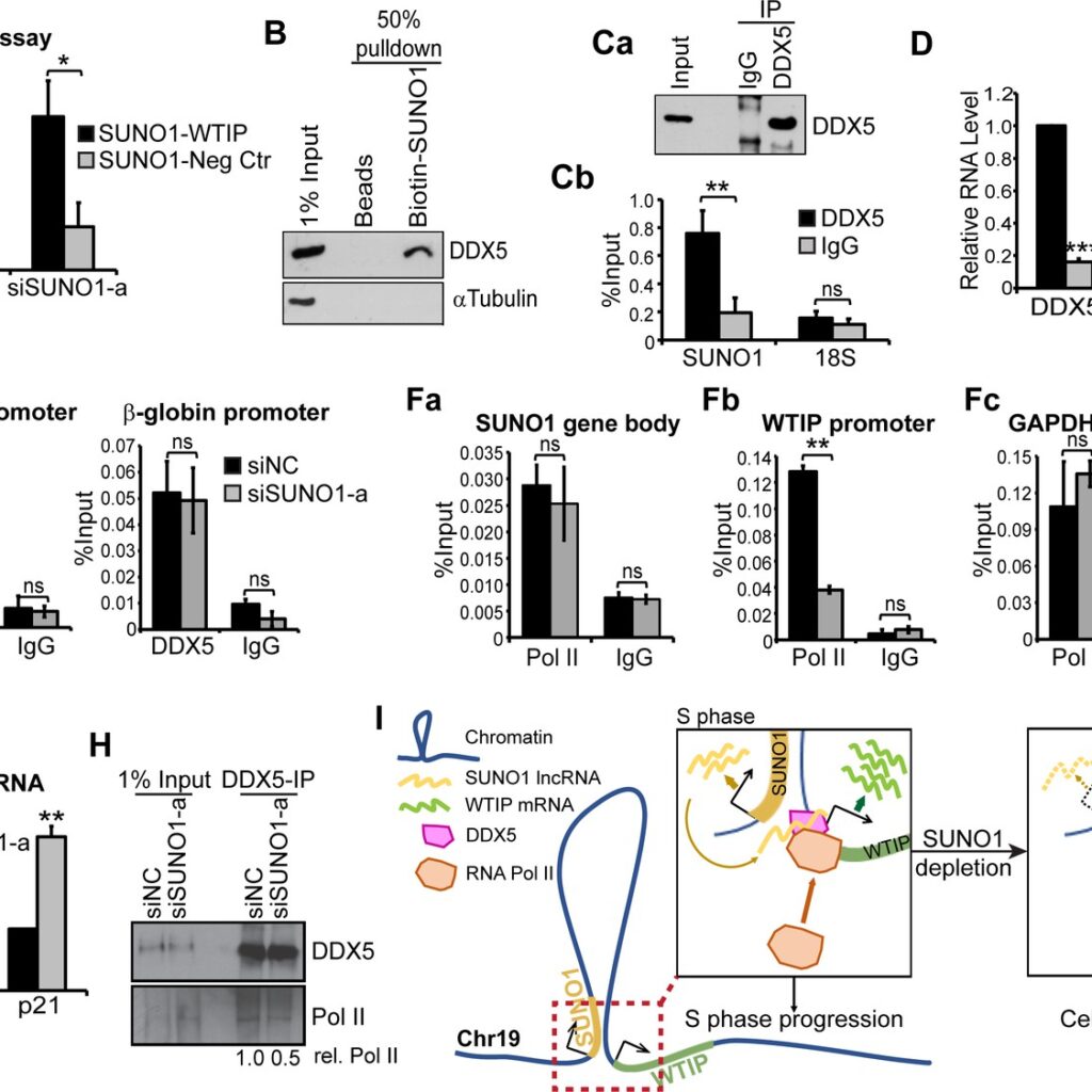 Khám Phá Bí Mật Của Review Tour 3 Đảo Phú Quốc – Hướng Dẫn Toàn Diện
