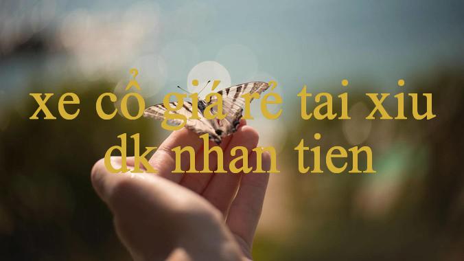 Khám Phá Đẳng Cấp Giải Trí Cập Nhật Mới Nhất Về Xe Cổ Giá Rẻ Tại Thị Trường Việt Nam